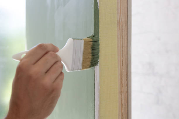 Best Water Damage & Mold Remediation  in Pierce, CO