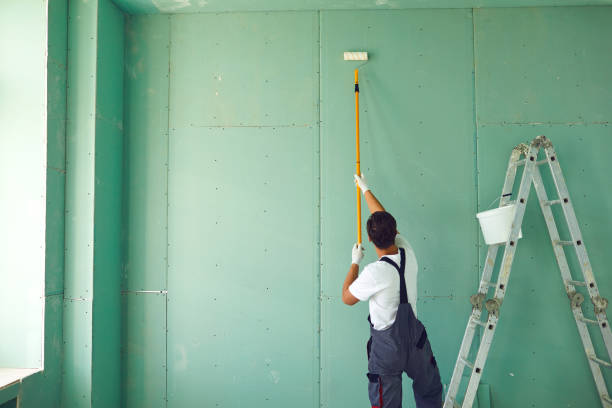 Best Real Estate Mold Inspection  in Pierce, CO