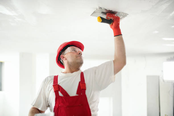Best Post-Construction Mold Inspection  in Pierce, CO