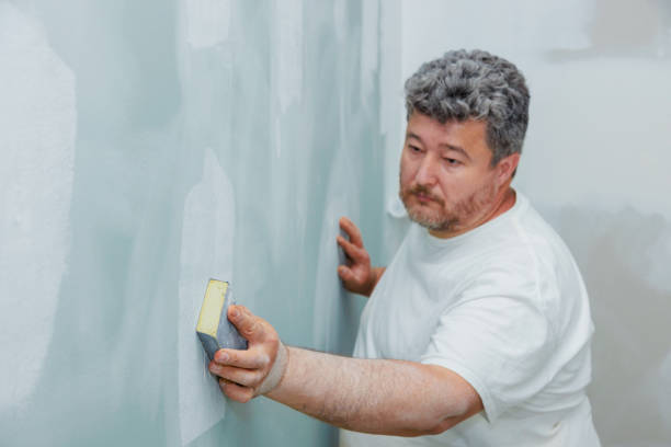 Best Forensic Mold Investigation  in Pierce, CO
