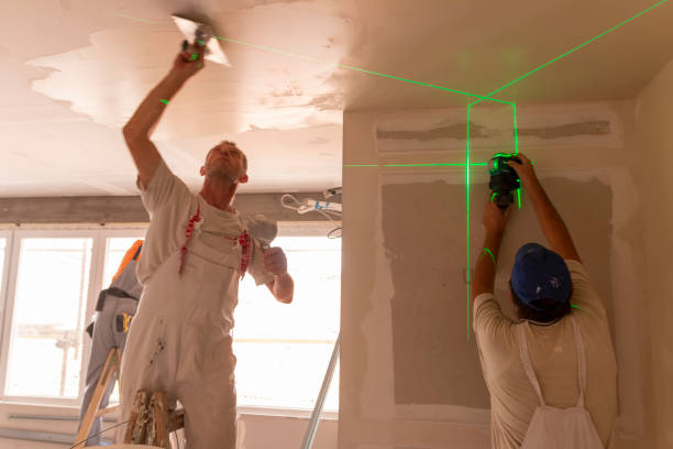 Best Residential Mold Inspection & Testing  in Pierce, CO