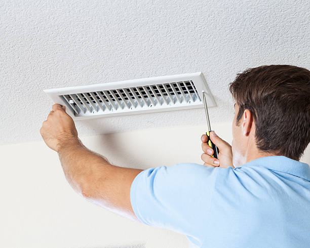 Best Mold Prevention Services  in Pierce, CO